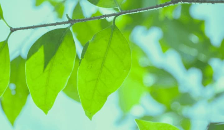 仙台でのCSR活動・地域貢献